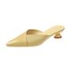 Pointed Toe Low Heel Mules For Women 2019 New Korean Fashion Fitting Room Style_vogvips.com