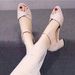 2025 Summer New Women's Low Open Toe Chunky Heel Versatile Soft Leather Outdoor Mom Sandals With Single Strap Buckle_vogvips.com