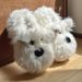 DIMIFEI Scrawled Puppy Cotton Slippers For Women Winter Indoor Non-Slip Warm Half-Wrapped Plush Soft Sole Furry Shoes_vogvips.com