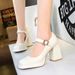 9613-1 Wind Thick High Heel Waterproof Platform Square Head Shallow Mouth Buckle Straight Belt Single Shoes Female_vogvips.com
