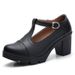 Cross-border Chunky Heel High-heeled Shoes For Women, Mary Jane Large Size Women's Shoes, Wedge Heel, Waterproof_vogvips.com
