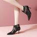 Martin Short For Women Winter Versatile Side Zipper Women's Shoes 2023 New High Heel Pointed Toe Slim Fashion Boots_vogvips.com