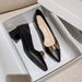 Women's Shoes Chunky Heel Pumps - Pointed Toe Slip-On Dress Shoes With Metal Buckle Detail, Comfortable Mid Heel (3-6cm) For All Seasons, Sizes 34-42_vogvips.com