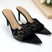 2026 Summer Huizhou European And American Style Pointed Toe Thin Lace High Heel Slippers One-Strap Champagne Color_vogvips.com