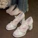 French Style Mary Jane High Heels Women, Elegant Comfortable, Suitable For Wedding Dress And Engagement, Chunky Heel_vogvips.com
