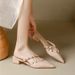 Muller High Heels, Pointed Toe, Thick Heel, Toe Cap, One-leg Mid-heel, Nude Color Rivets, Outwear Half Slippers For Women With Skirt_vogvips.com