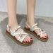 French-style Vintage Cross-strap Thick-soled Sandals Women, New Summer 2026, Elegant Fairy Style, Suitable For Pairing_vogvips.com