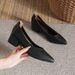 MTX Genuine Grandma Shoes With Chunky Pointed Toe, Mid-Heel Women's Single Shoes, 2025 New Spring And Autumn Versatile Soft_vogvips.com