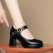 Elegant Chun Heel Work Pumps – Slip-Resistant Platform Mary Jane Shoes For Women (Black, 7cm Heel)_vogvips.com