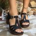 2025 European And American Summer Sandals, T-strap High-heeled Chunky Heel Peep-toe Roman Women's Shoes, Waterproof_vogvips.com
