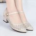 Mesh Sandals Hollow Breathable Single Shoes Low Heel Dancing Women's Shoes Fashion Mother Thick Heel Sandals_vogvips.com