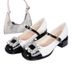 French Style Chunky Mary Jane Shoes For Women In Spring 2025, New Rhinestone High Heels, Fragrance Style, Shallow Mouth_vogvips.com