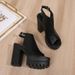Women's Shoes Summer New High Heeled Thick Heeled Sandals For Women Waterproof Platform Fish Mouth Roman Shoes_vogvips.com