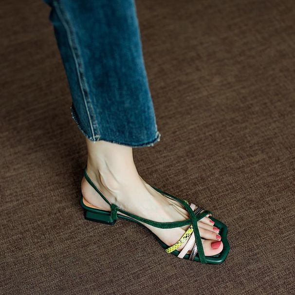 Retro Color-blocked Open-toe Fish-mouth Sandals For Women, 2025 Summer New Style, Chunky Heel, Woven Thin Strap,_vogvips.com