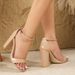 Cross-Border European And American Sandals For Women, Open Toe, One Strap Buckle, Hollow High Women's Shoes, Chunky Heel_vogvips.com