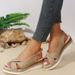 Women's Shoes Summer New Women's Shoes Comfortable Thick Soled Sandals 40 43 Light Bottom Buckle Fish Mouth Sandals Now_vogvips.com