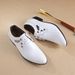 2026 Spring New Men's Pointed Business Dress Leather Breathable And Casual British Style Photography Wedding Shoes_vogvips.com