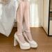 Fairy High-heeled Single Elegant And Versatile, 2025 New Fashion Style, Stunning Mary Jane Shoes, Korean Version_vogvips.com