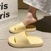 Summer Slippers Women Soft Non Slip Beach Flip Flops Men Comfort Couples Indoor Slides Shower Shoes Thick Platform Slippers_vogvips.com