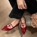 Women's Shoes Temperament Dinner ~ Pointed Double Bow Shallow Flat Mary Jane Single Shoes Women's Banquet Shoes_vogvips.com