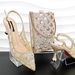 Mesh hollow pointed toe ladies high heels Fish scale hollow clutch Sexy and fashionable ladies shoe and bag set_vogvips.com