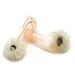 Charming Shark Korean Version New Jelly Shoes Daily Casual Floral Transparent Crystal Women's With Covered Heel Flat_vogvips.com