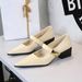 Women's Retro Mary Jane Pumps With Chunky Heel, Pointed Toe & Metal Buckle - Elegant Low-Cut Dress Shoes For Spring & Fall (Black/Light Green/Beige)_vogvips.com
