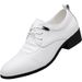TerraStride 2025 Spring Autumn Men's Business Formal Leather Invisible Height Increase Lace-up Pointed Toe White Dance Shoes Men_vogvips.com