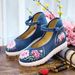 Women's Casual Single Shoes, High Heels, Embroidered Cloth Shoes With Raised Sloping Heels_vogvips.com