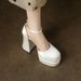 12cm Wedding Shoes Bridal Artifact Petite Chunky Heel Platform Waterproof Mary Jane High Heels 2024 Autumn New Model_vogvips.com
