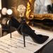 New Spring Autumn Versatile Black High Heels For Women, Thin Heel, Sexy European And American French Style Girls' Single_vogvips.com