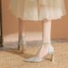7500B Pointed Toe Glitter Wedding Bridesmaid Banquet High Heels French Style Elegant Socialite High-end Women's Shoes_vogvips.com