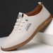 TerraStride 2025 Spring New Men's Casual Shoes Leather Soft Sole Slip-On Loafers White 1173_vogvips.com
