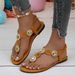 plus Size Rhinestone Chain Strap Open Toe Sandals For Women Flat Elastic Flip Flops Black Brown PU Upper Rubber Sole_vogvips.com
