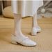 Mary Jane Women's Shoes 2026 Spring New Style, Versatile With Skirts, French Chunky Heel Single Shoes, Soft Sole,_vogvips.com