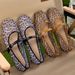 cross-border In-stock Mesh Leopard Print Ballet Women 2026 Mary Jane For Outdoor Wear Granny Women's Shoes_vogvips.com