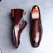 TerraStride Business Formal Leather British Pointed Derby Casual Lace-up Men's Breathable Groom Wedding Shoes Men_vogvips.com
