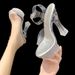 2021 Autumn New Crystal Transparent Buckle Strap Chunky Super High Heel Professional Sandals Fashion Wedding Women's_vogvips.com