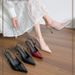 2026 Spring/Summer New Versatile Sandals For Women, Fairy-Style Single Shoes With Thin , Mid-Heel Pointed-Toe High_vogvips.com