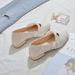 Mary Jane Women's Shoes 2026 Spring New Style, Versatile With Skirts, French Chunky Heel Single Shoes, Soft Sole,_vogvips.com