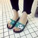 2025 New Home Sandals For Women Bathroom Slippers Indoor Non-Slip Student Outdoor Wear_vogvips.com