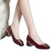 2025 Autumn Fashion High Heels New Women's Mid-heel Soft Sole Small Leather Chunky Heel Versatile Work Shoes_vogvips.com