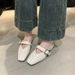 French-style Mary Jane Closed-toe Mules Women, Suitable For Outdoor Wear, Chunky Heels, Elegant 2026 Spring-summer New_vogvips.com