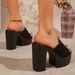 Women's High Heeled Sandals European American Style Chunky Heel Open Toe Summer Shoes_vogvips.com
