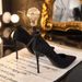 2025 Spring Autumn New Versatile Black High Heels For Women, 9cm Stiletto Heel, Sexy European And American French Style_vogvips.com