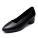 Summer New Women's Pointed Toe Chunky Heel Slip-On Shoes Breathable Soft Sole Low Mouth Casual Commuter Ladies Footwear_vogvips.com