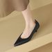 cameido Women's Pointed - Toe Low - Cut Heeled Pumps. Ideal For Spring, These Shoes Are Perfect For Professional Commuting And Work._vogvips.com