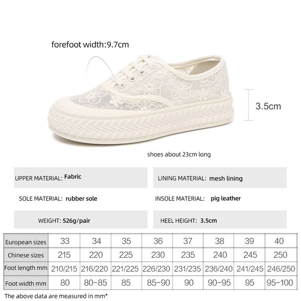 cameido Women's Flat Slip-on Casual Shoes In The Style Of Floral Lace Mesh Fisherman's Shoes。_vogvips.com