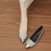 NEW Within The Height Of 5CM Single Shoes Rhinelass Flat Pointed Small Autumn And Winter All Match Soft Sole Women's Shoes Professional Black New_vogvips.com
