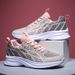 Shoe Factory Direct Sales Women's Shoes Sports Shoes 2024 Spring New Running Shoes Women's Mesh Breathable Casual Shoes Travel Shoes_vogvips.com